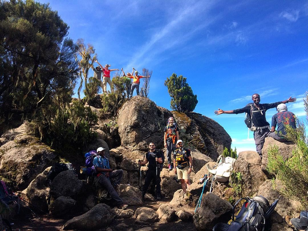 Day 2 kili climb 6km in the moorland  900m ascent !!!  shiracamp ... (Machame, Kilimanjaro, Tanzania)