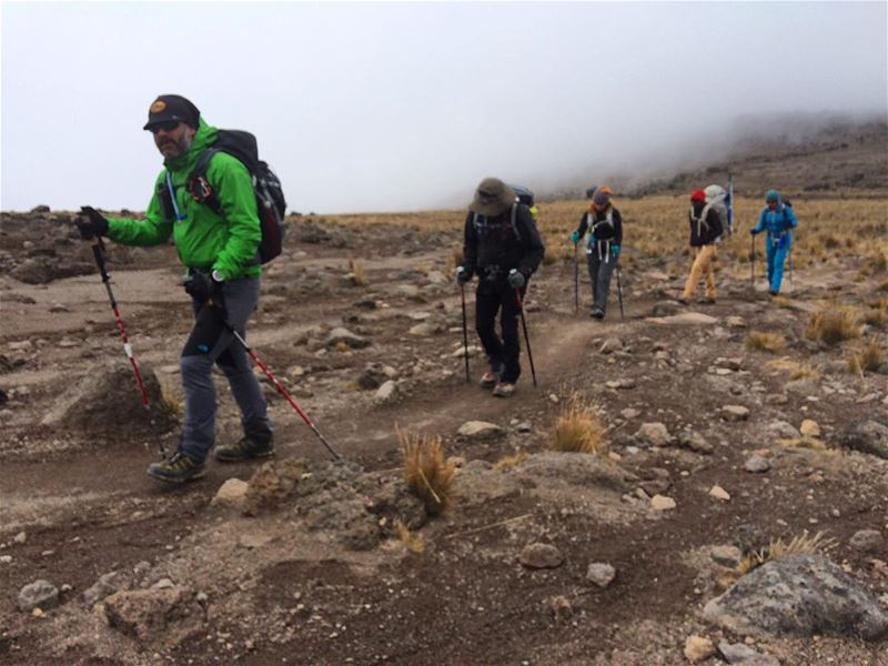 Day 3 kili climb 10km through shrubs & boulder arriving to lava tour, 800m...