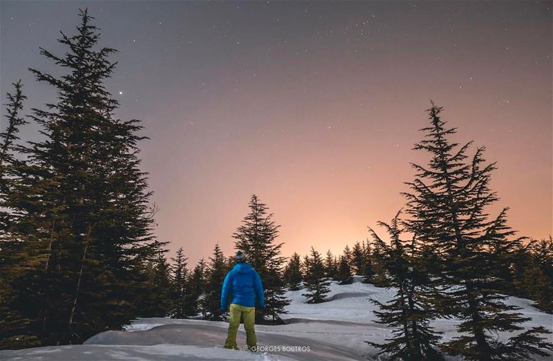 Days of glory / nights of horror ✨.. livelovelebanon  universe ... (Cedars of God)