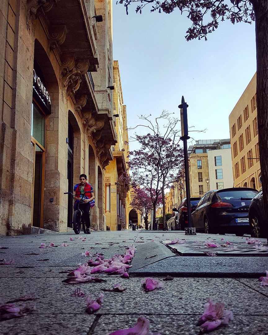 Dear Nature..No one is allowed to throw anything on your  streets..... (Beirut, Lebanon)