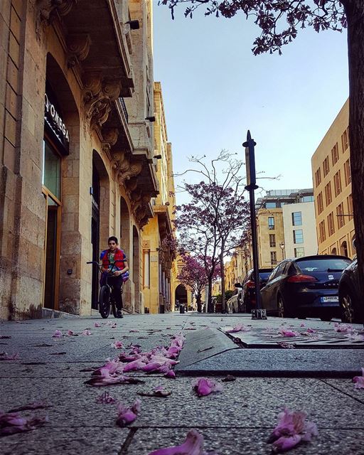 Dear Nature..No one is allowed to throw anything on your  streets..... (Beirut, Lebanon)