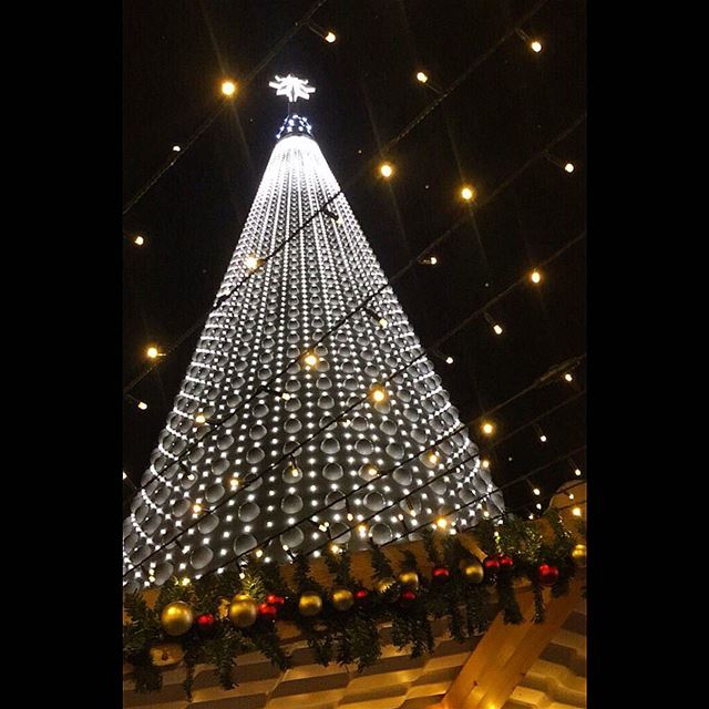 December 24 - 🎄.. christmastree  christmaseve  christmas  december24 ... (جونية - Jounieh)