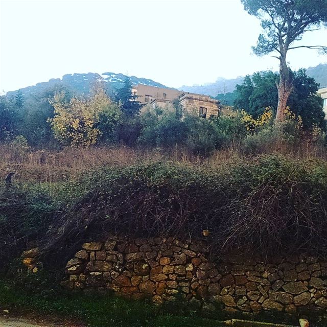  december field pine house landscapes  naturelovers  pictures view... (قبّيع|Kobeih)