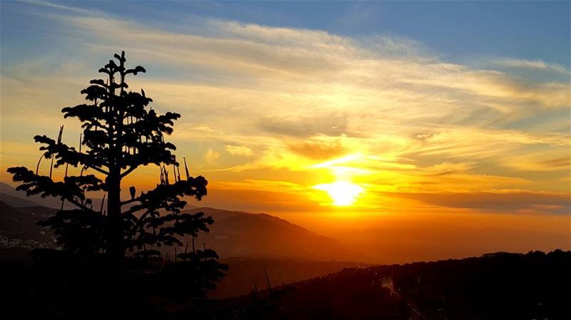 December's sunsets  supersunset_world  sunsetlovers  best_moments_sunset  ... (Miziâra, Liban-Nord, Lebanon)