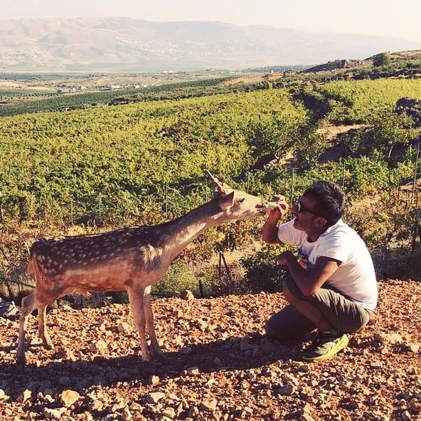  deer  deerseason  deers  hikeday  hikingaloneisawesome  hikers ... (`Ana, Béqaa, Lebanon)