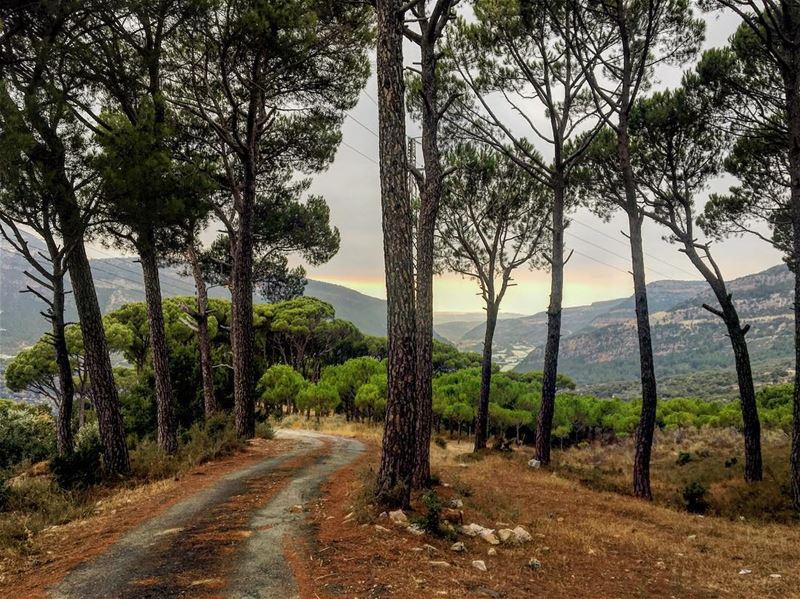Deir Bassa, Liban-Nord