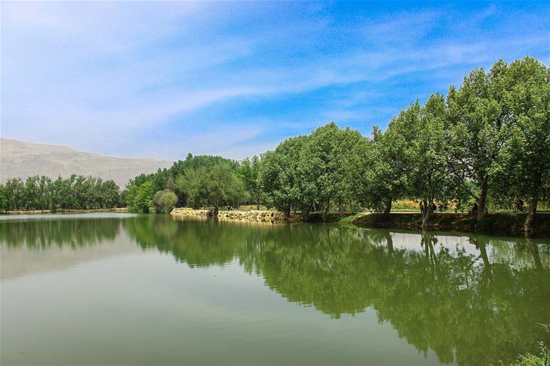 🇱🇧 (Deïr Taanâyel, Béqaa, Lebanon)