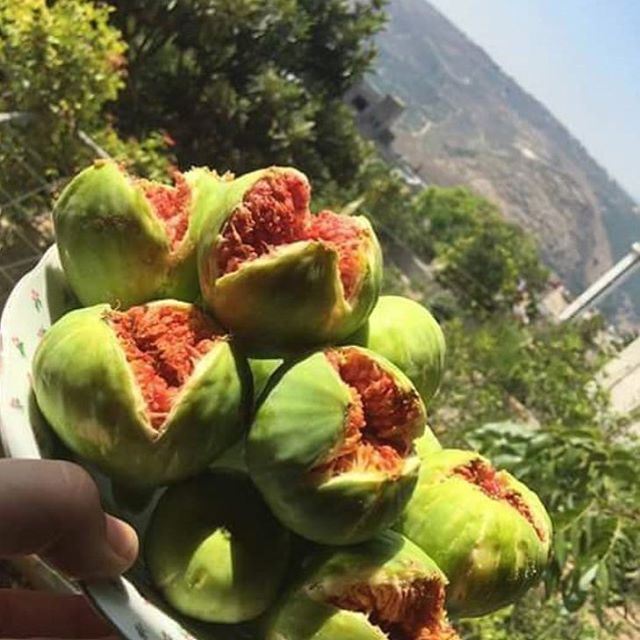  delicious  summer  fruits  jnoubi  livelovenabatiyeh  livelovejnoub... (Kfarsir)
