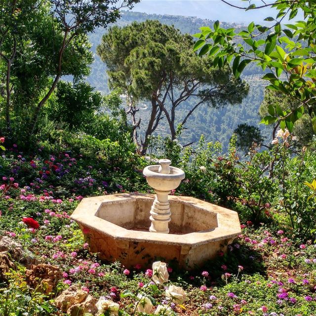 Delightful garden and view at a nearby B&B.@lamaisondubonheur  deirelqamar... (Dayr Al Qamar, Mont-Liban, Lebanon)