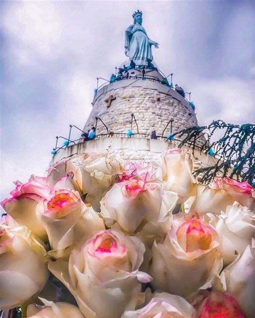 Despite all the sadness you were feeling because of your terrible loss,... (The Lady of Lebanon - Harissa)