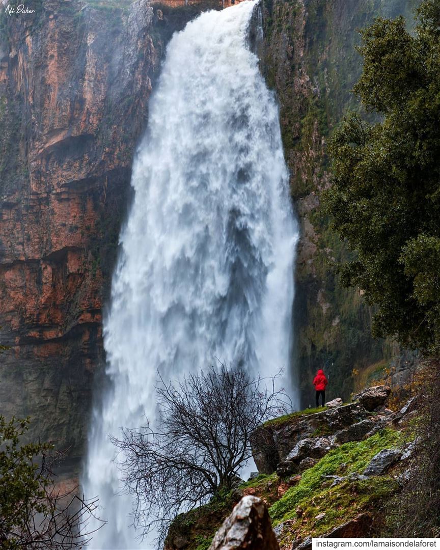  DidYouKnow that the Jezzine Waterfall is one of the tallest in the world?...