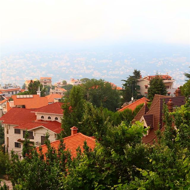 Different type of beauty 🙆 (Bikfaïya, Mont-Liban, Lebanon)