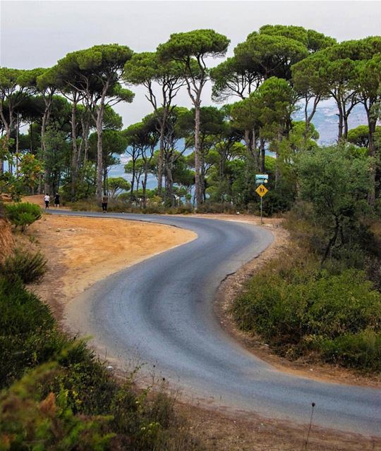 Difficult roads often lead to beautiful destinations 🗺(📸: @ahmad_halabla