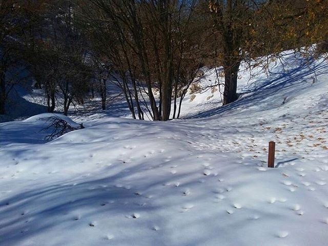 Difficult roads often lead to beautiful  destinations !  JabalMoussa ... (Jabal Moussa)