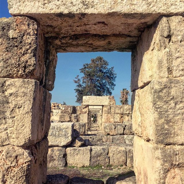 Dimensions. tyr  tyre  ruins  roman  romanruins  lebanon  south  sour ... (Tyre, Lebanon)