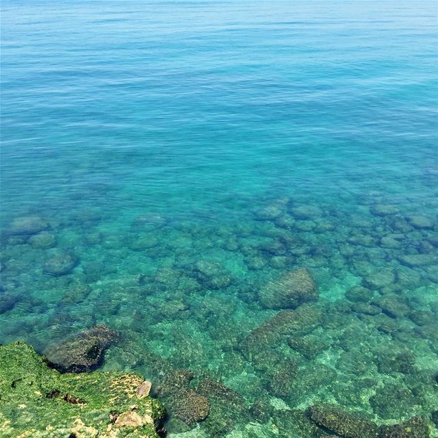 Dip in😍 (Sidon Sea Castle)