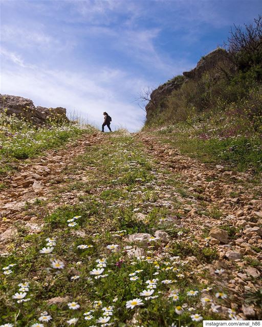 Dip my soul in flowers, & shower me with a love that flows like a river to... (`Akkar Al `Atiqah, Liban-Nord, Lebanon)