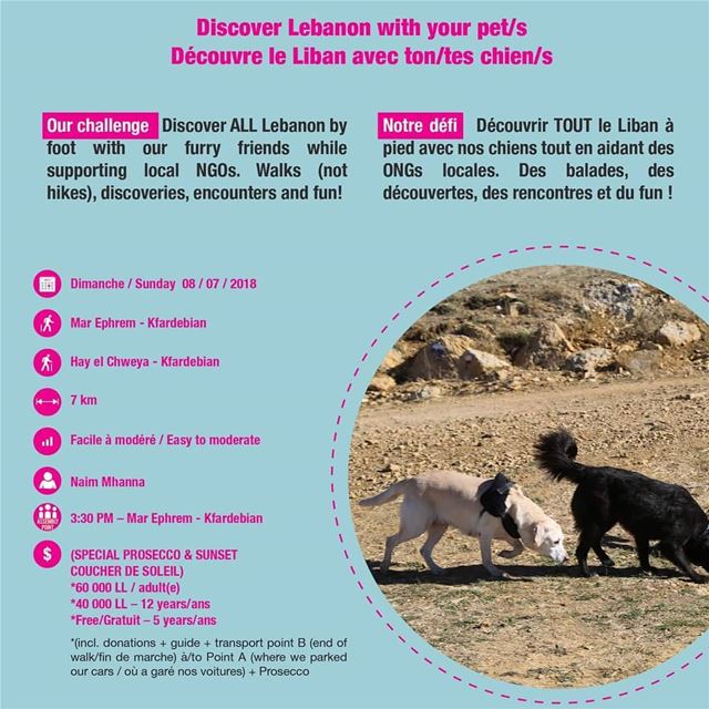 Discover Lebanon wirh your pets tourleb  tourlebanon  lebanontimes ... (Kfardebian,Mount Lebanon,Lebanon)