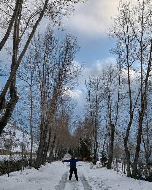  discover the beauty of  winter...  winterhike  snow  ptk_sky  ig_lebanon ...