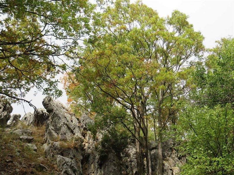 Discover the outstanding "Qornet el Mzar" trail. For reservation, call us...