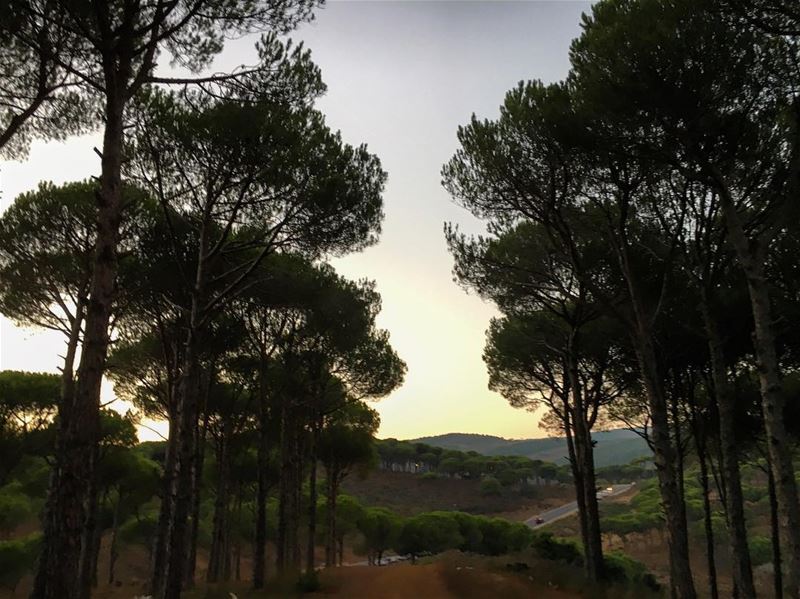 Discovering New Places ... 🔥🇱🇧 lebanon  lebanon_hdr  lebanon_hd ... (Marjayoûn, Al Janub, Lebanon)