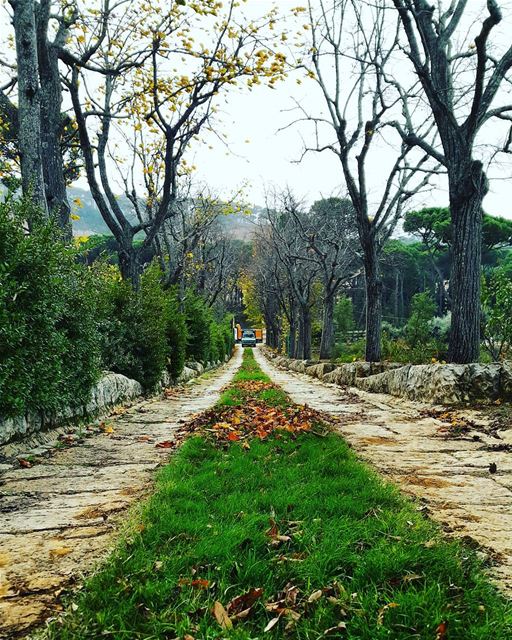 Distances  never separate people, silence does!  distance  away  further ... (Chbânîyé, Mont-Liban, Lebanon)