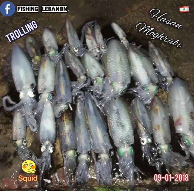 @dj_toughguy @fishinglebanon - @instagramfishing @jiggingworld @whatsupleba (Beirut, Lebanon)