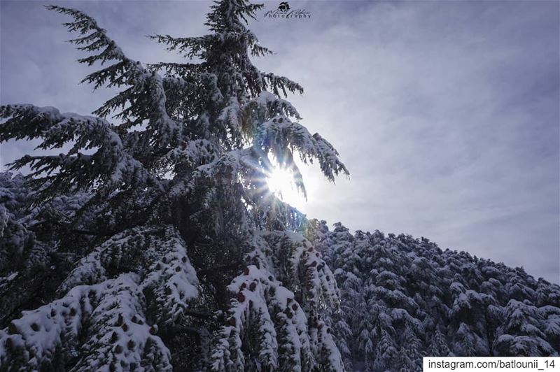 Do more of what makes you happy 🍁 ───────────────── chouf  shoufreserve ...