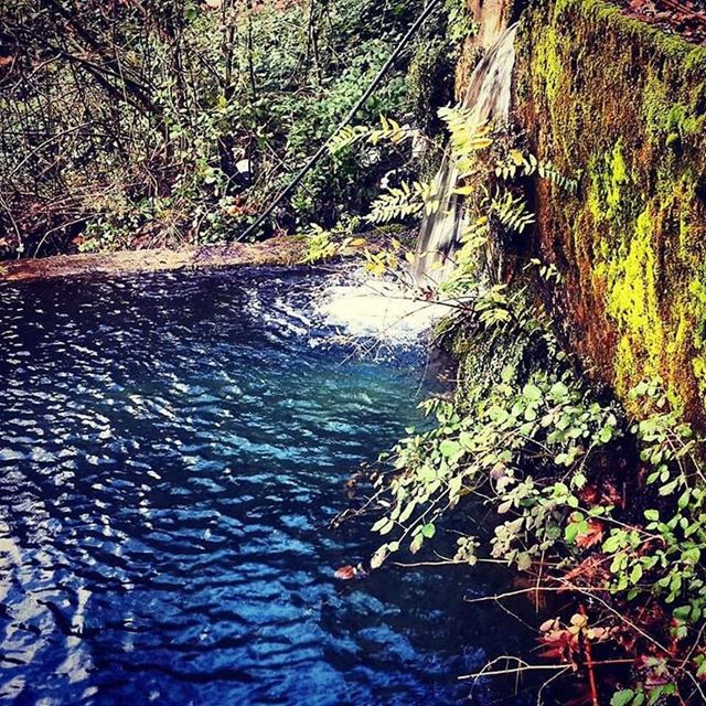 Do more of what makes you Happy!  JabalMoussa  instamountain  instamood ... (Jabal Moussa)