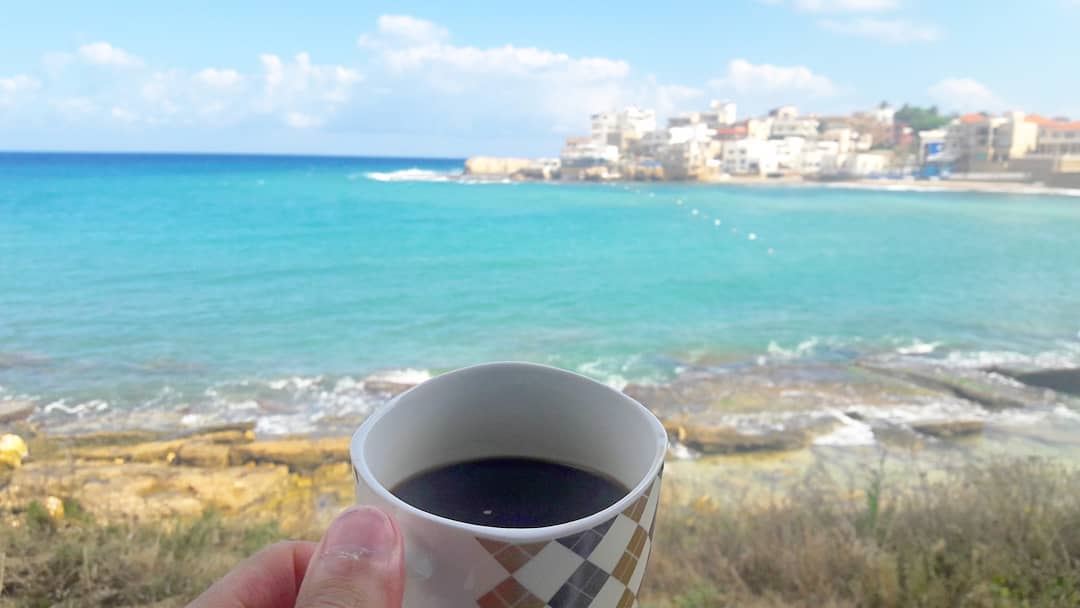 Do not drink your coffee in a plastic cup!Good morning sea-lovers 🌊☕🌊 ... (Centre National des Sciences Marines)