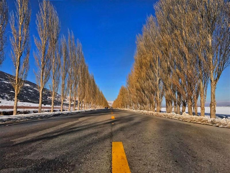 Do not follow where the path may lead. Go instead where there is no path... (`Ammiq, Béqaa, Lebanon)