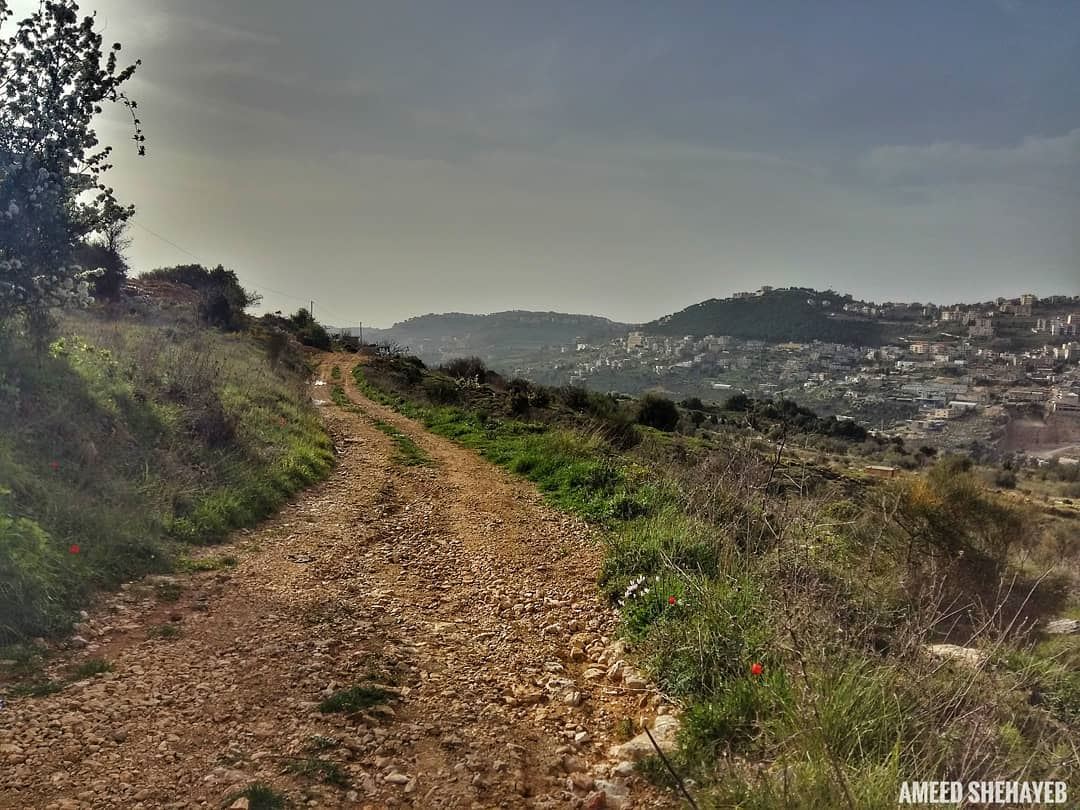 "Do not go where the path may lead, go instead where there is no path and... (Aley District)