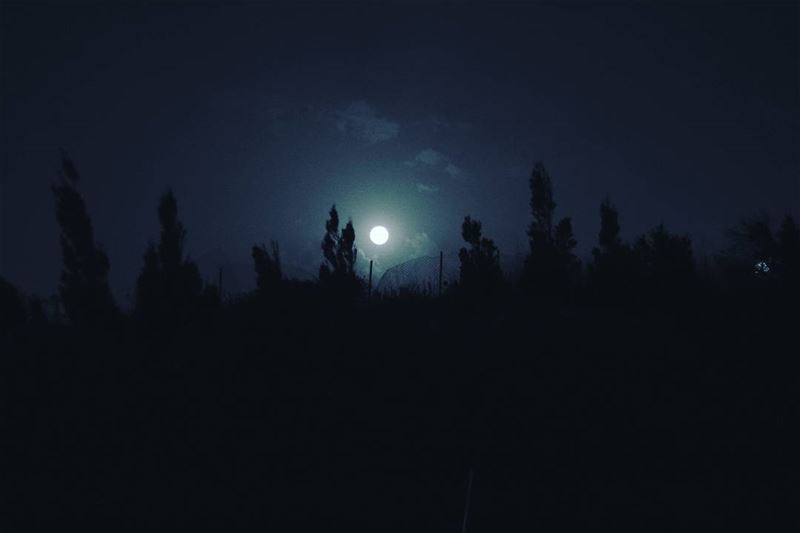 Do not ignore the darkness. Rather, learn from it, and create light.... (Byblos - Jbeil)