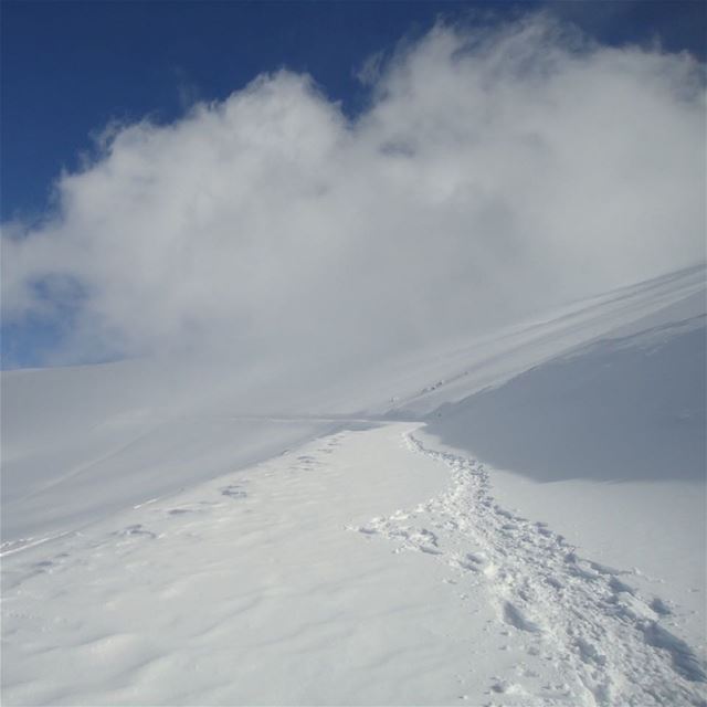 Do not seek to follow in the footsteps of the wise . Seek what they sough.... (Cedars of God)