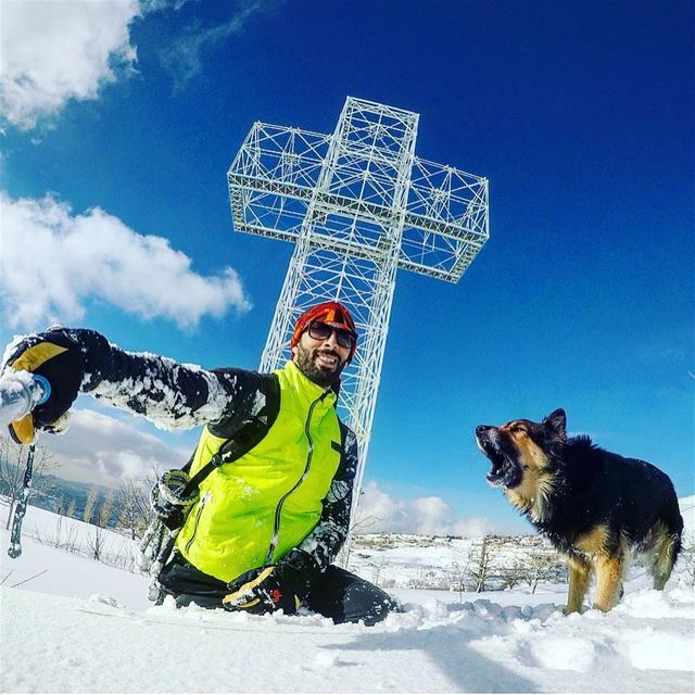  Dodger_TheDog was so excited to reach the biggest  light  cross in the ... (Kanat Bakich)