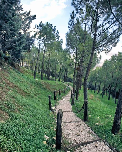 Does the walker choose the path, or the path the walker!Morning igers 🌞- (Zahlé, Lebanon)