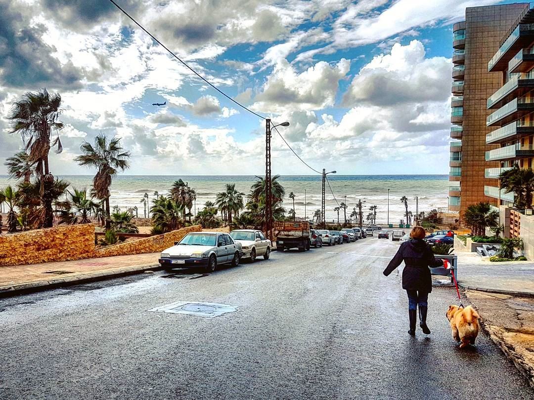 Dog Days  walkingthedog  blustery  lebanese  citylife  urban  winter ... (Beirut, Lebanon)
