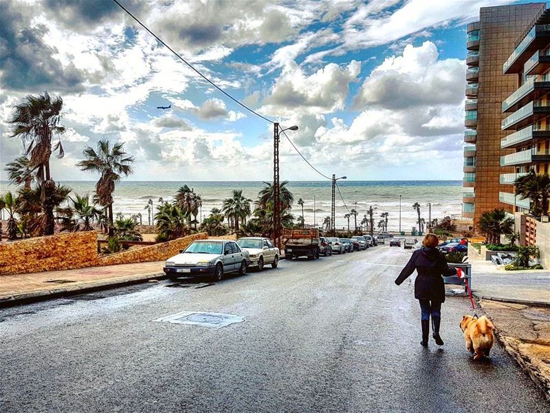 Dog Days  walkingthedog  blustery  lebanese  citylife  urban  winter ... (Beirut, Lebanon)