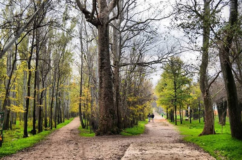 Domaine........ travelawesome  exploretheglobe   worlderlust ... (Deïr Taanâyel, Béqaa, Lebanon)