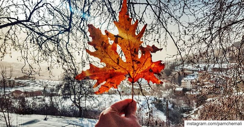 Don't be afraid to  fall 🍁 fallseventimesstandupeight ehden 💚 ... (Ehden, Lebanon)