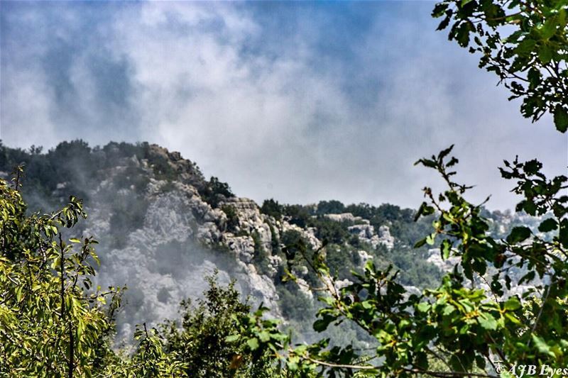 Don’t be afraid to go in to the mist, be excited because you don’t know... (Jabal Moussa Biosphere Reserve)