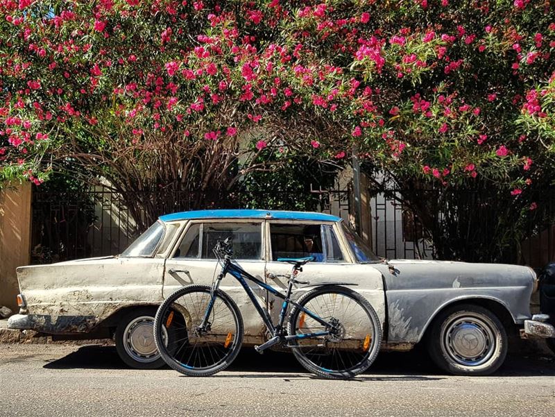 Don't blame a Healthy Weakness..🚲🍃🍃.. cycling  worldbicycleday... (Beirut, Lebanon)