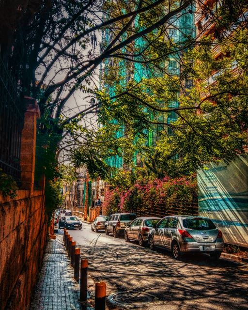 Don't compare your path with anybody else's. Your path is unique to you.•... (Zuqaq al-Blat)