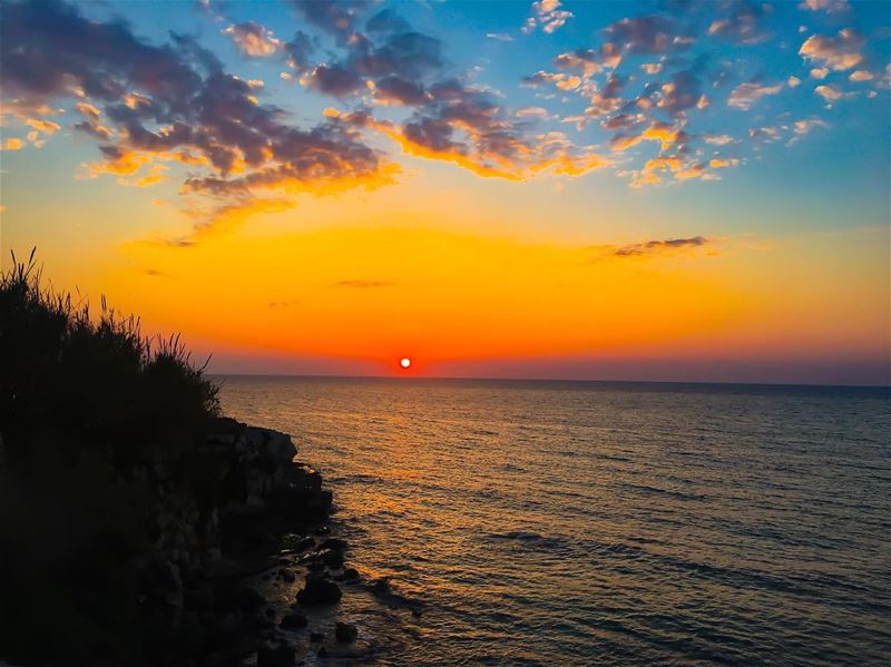 " Don't Fall In Love With Me,Not Unless You're Ready For A God damn... (El Borj, Liban-Nord, Lebanon)