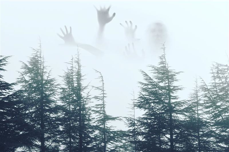 Don't let the fog scare... (Arz el Bâroûk)