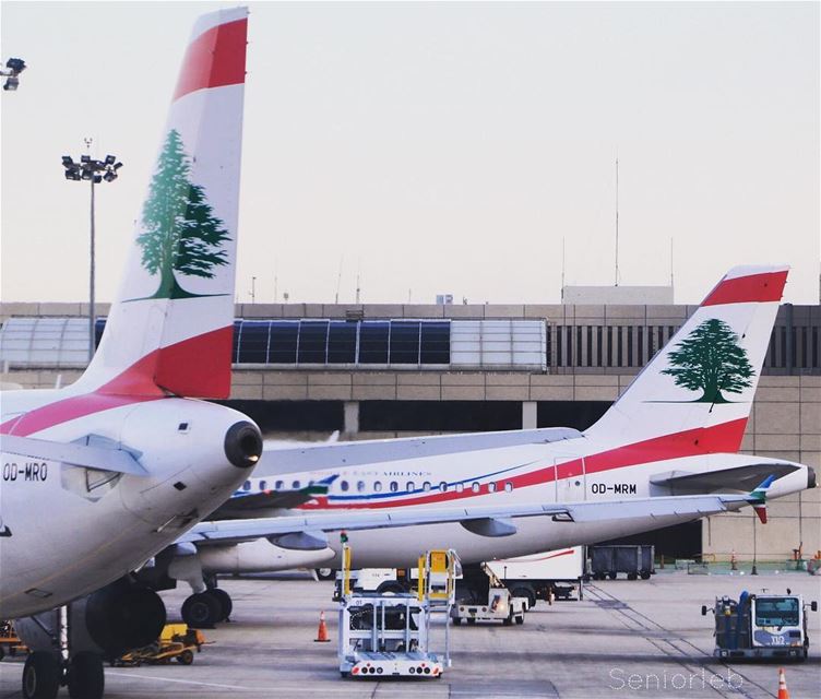 Don't talk, just act. Don't say, just show. Don't promise, just prove... ... (Beirut–Rafic Hariri International Airport)