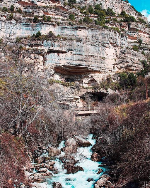 - Don’t try to steer the River-... livelovenature  liveloveakoura ... (Akoura, Mont-Liban, Lebanon)