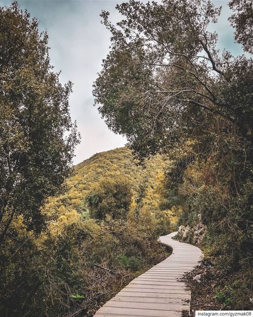 Don't wait to find paths worth crossing based on the end-destination. Life... (Lebanon)