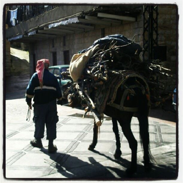  donkey  asino  old  man  village  ourbestshot  instafoto  instaphoto ...