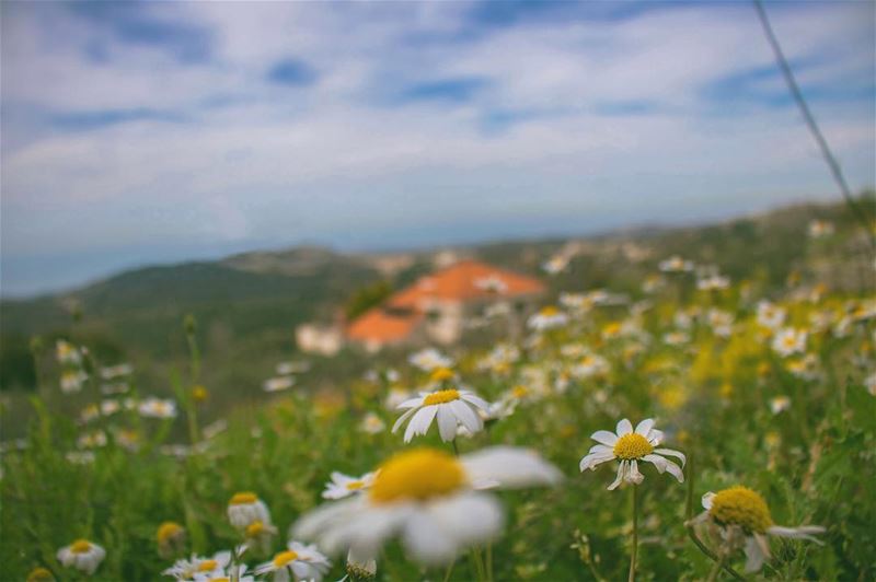 'dont pack up ur camera until u’ve left the location...''''... (Lihfid, Mont-Liban, Lebanon)